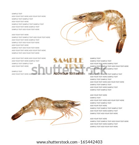 Raw shrimp isolated on white background