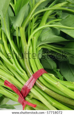 Water spinach