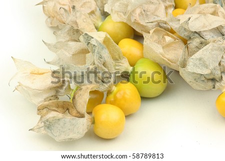 Physalis fruits on a white background