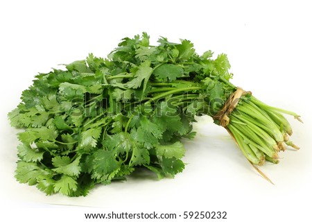 http://image.shutterstock.com/display_pic_with_logo/596908/596908,1282088998,3/stock-photo-bunch-of-fresh-cilantro-isolated-on-white-59250232.jpg