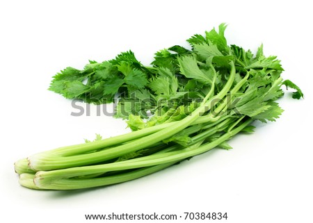 Celery White