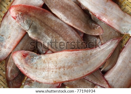 Sole fish background.