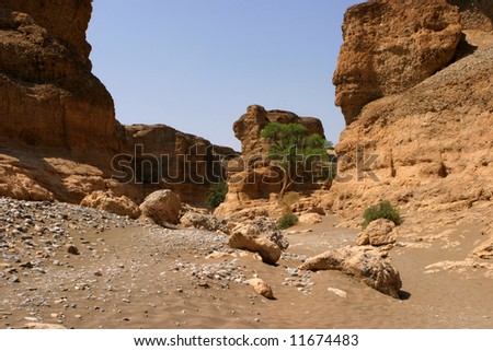 gorge in the namibian desert with a dry riverbed