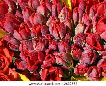 red tulips at a florist booth on a flea market