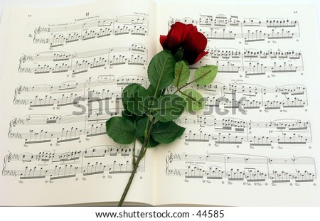 Music Rose