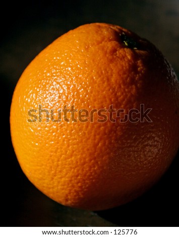 Single Sun Lit Orange Still Life