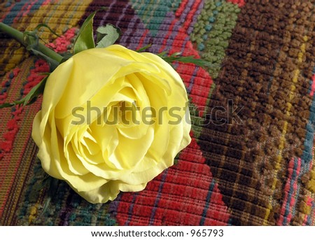 Soft fluffy yellow rose on a multicolored pillow