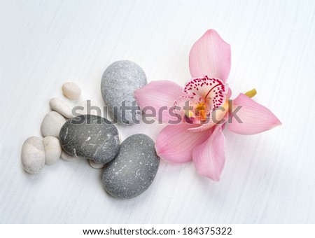 Spa background with orchid flower and stones