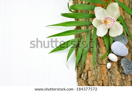 Spa background with orchid flower, stones and green leaf