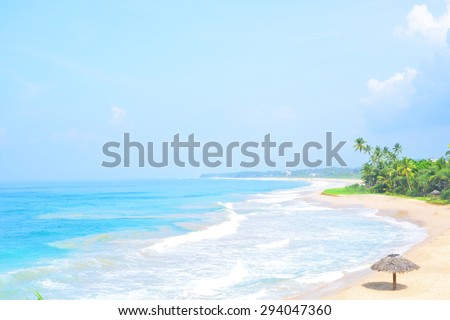 Beautiful tropical beach with nobody, palm trees and golden sand top view. Wave roll into beach with white clean foam. Blue sea.