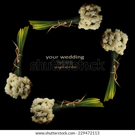White Colored Erlicheer Daffodil or Daffodil Flowers on black background Great for wedding background