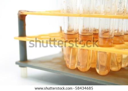 Yellow Fluid testing tube on the rack