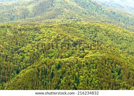 Aerial view on a forest covering a mountain slopes. Shot was done in the Altai region (Russia) in Summer, 2014. Image can be used as a background, wallpaper or postcard.