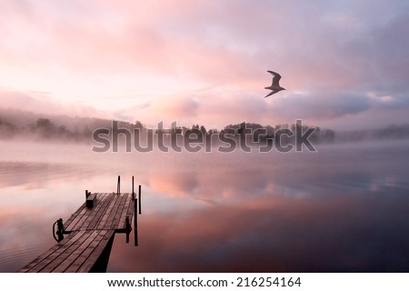 Early morning landscape with water surface (along with reflections), boat mooring (moorage), flying gull, forest at the opposite shore, sky and clouds.