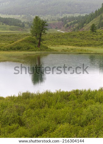 Summer landscape in the mountain Altai area: small lake with water surface covered by ripples caused by rain drops and green tree at the shore. The road, forest, rocks and hills forms a background