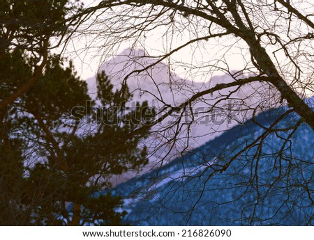 Winter mountains evening landscape (Caucasus, Russia): mountain peaks far away covered by snow and alight by sun visible through pattern of the tree branches along with pink sky.