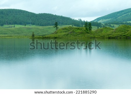 Summer landscape in the mountain Altai area (Russia): small lake with water surface covered by ripples (ring) caused by rain drops and lone green trees at the shore.
