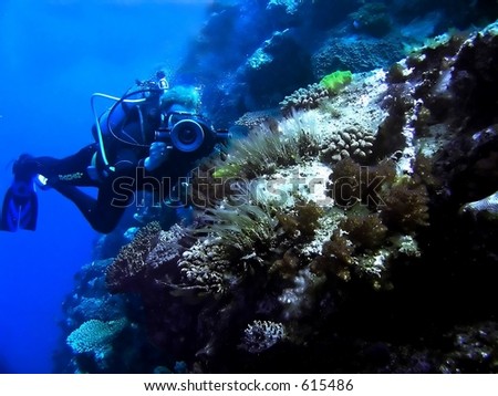 Underwater photographer on the Great Barrier Reef