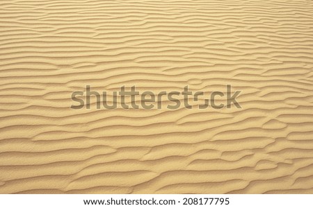 Seamless texture of sand beach