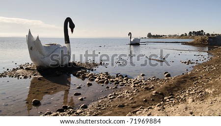 Landscape with two swan sculptures at the border of a lake in south Chile