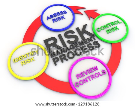 chart of risk management process