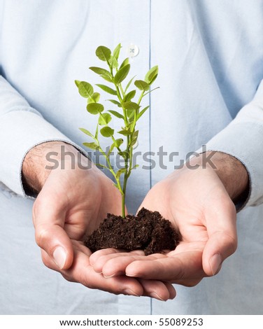 Businessman in blue shirt holding soil and a small plant (growth and development concept)
