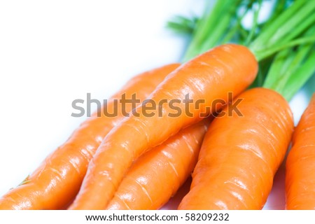 Fresh wet organic carrots isolated on white background