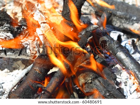 The burning of useless garden waste in controlled fires.