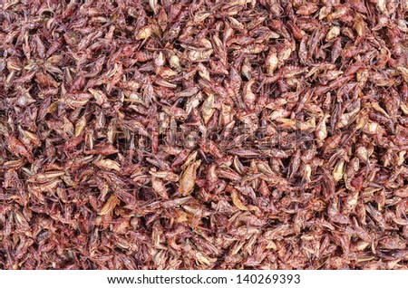 Edible Grasshoppers Traditional Mexican cuisine from Oaxaca use roasted grasshoppers called \
