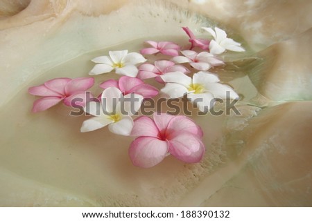 Floating flowers This tranquil image found in a Spa entrance transmits harmony and tranquility