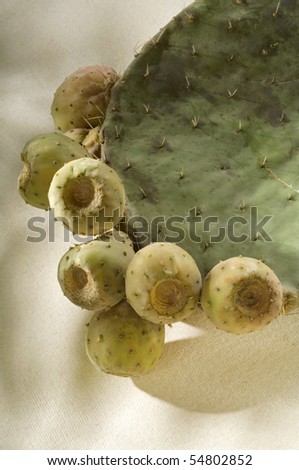 Mexican Cactus with its fruits called tunas
