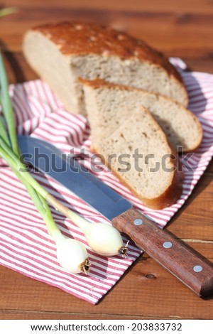 Rye bread, onion and knife on wood, outdoor