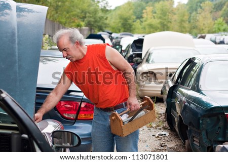 A man browses for car parts on decommissioned used cars at an automotive junk yard.