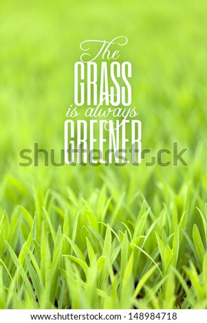 Green grass with typography quote about the grass always being greener on the other side with copy space.
