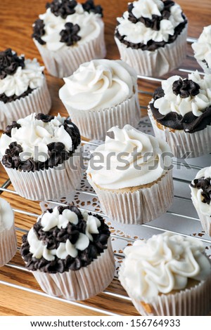 Close up of some decadent gourmet cupcakes with chocolate and vanilla frosting. Shallow depth of field.