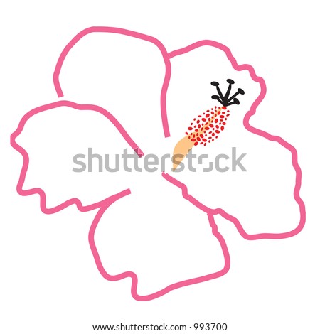  this is a rasterized vector drawing of a pink hawaiian hibiscus flower