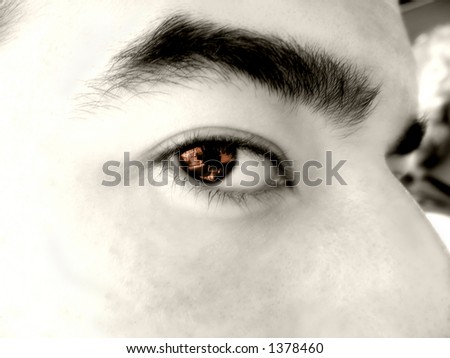 isolated brown eye - black and white face