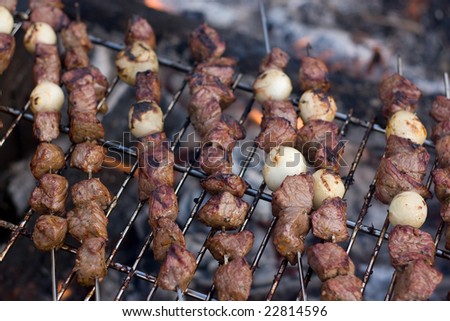 Beef shish kebab skewers cooking over a hot camp fire.