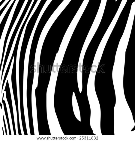 zebra stripe wallpaper. to draw zebra print Fooled
