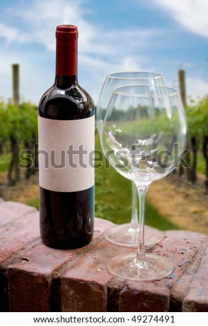 A still life shot of a single wine bottle and a pair of empty glasses in front of a grape wine vineyard.  Shallow depth of field.