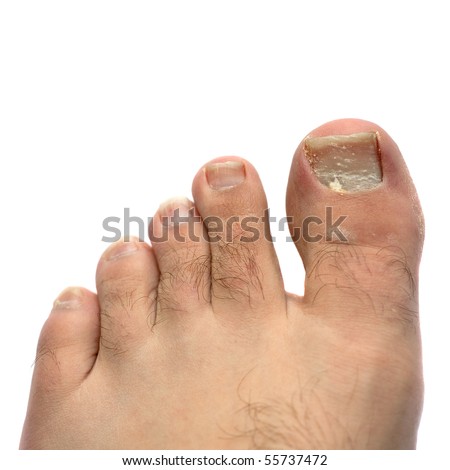Human Toes