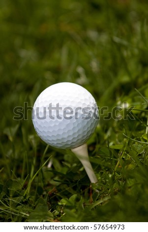 A white golf ball set up on the tee in the green grass.  Shallow depth of field.