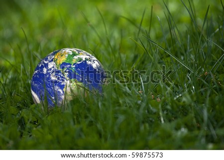 Conceptual image of the earth laying in the tall green grass.  Shallow depth of field.  Earth image courtesy of NASA.