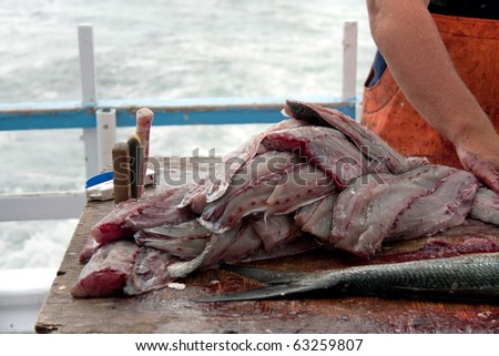 A worker cleaning and filleting a fresh caught saltwater blue fish aboard a chartered fishing boat.
