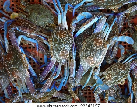 Fresh blue crab at a seafood market.