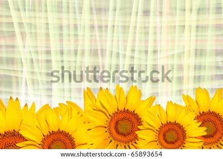 sunflowers wallpaper. sunflowers wallpaper. stock