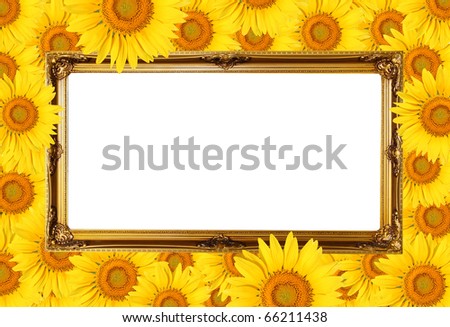 Frame surrounded by sunflowers.