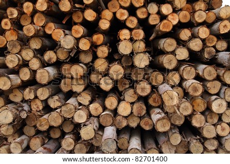 abstract of eucalyptus trees for lumber industry