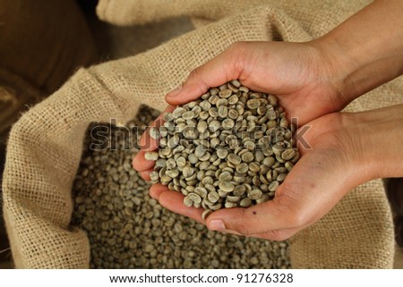 green unroasted coffee beans on hand