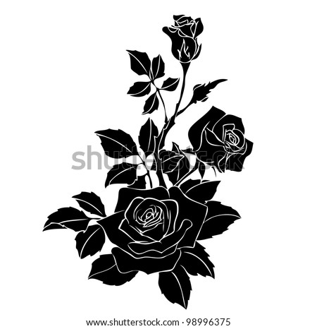 Roseroyalty Flowers on Rose Vector Image